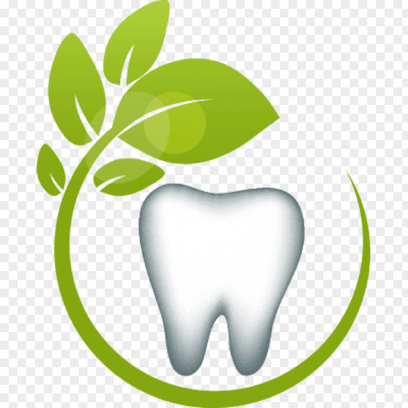 Tooth Holistic Dentistry Oral Hygiene Health PNG dentistry hygiene Health, health clipart PNG
