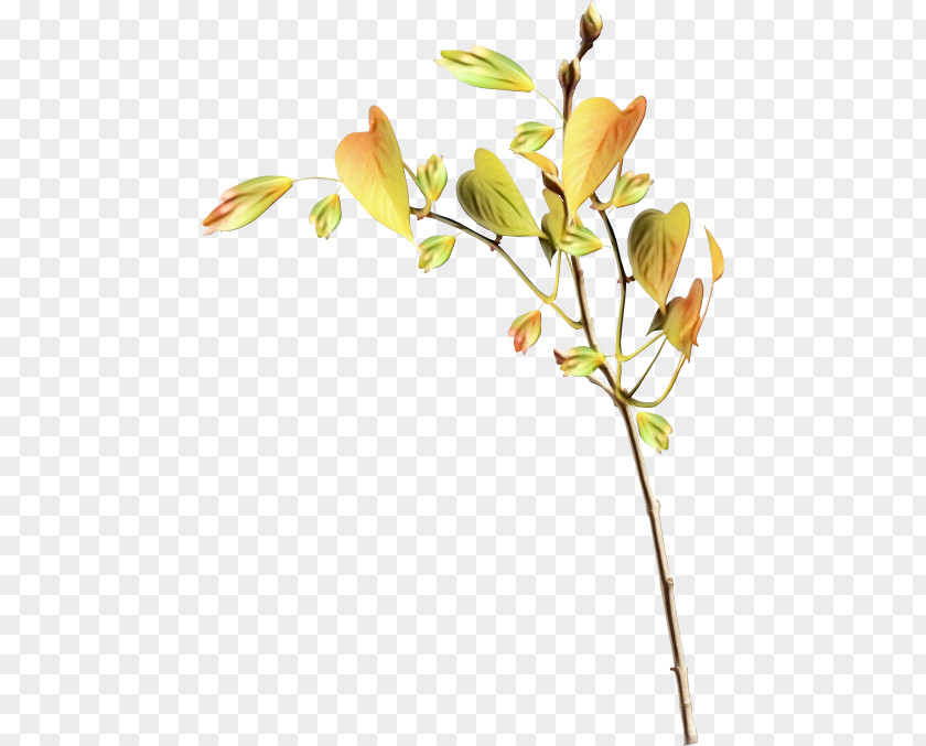 Branch Leaf Twig Diary PNG