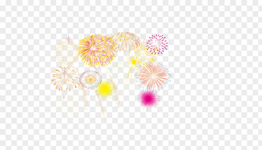 Fireworks Petal Computer Pattern PNG