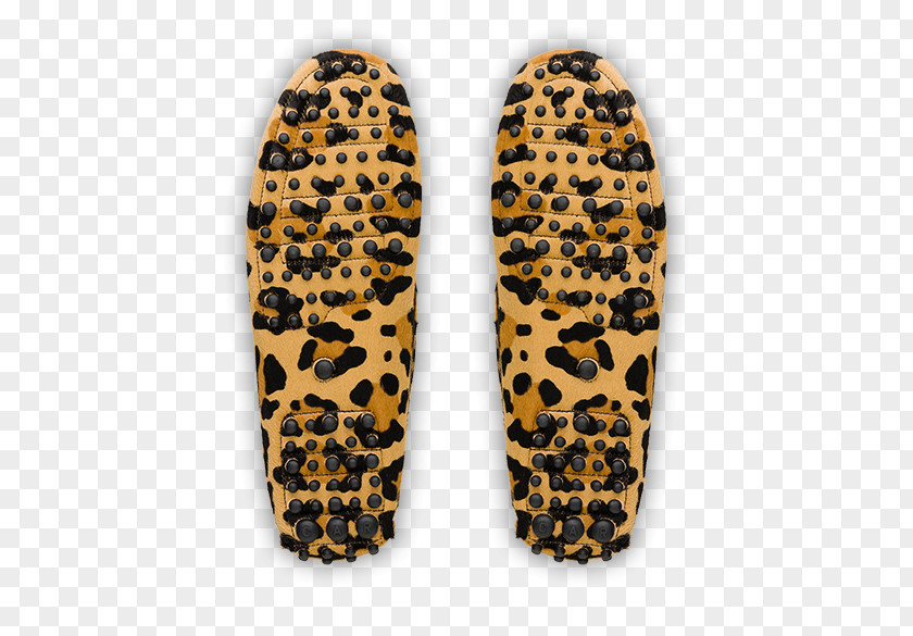 Leopard Skin Shoe PNG
