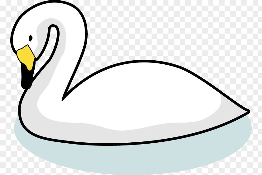 Swan Duck Water Bird Anatidae Goose PNG