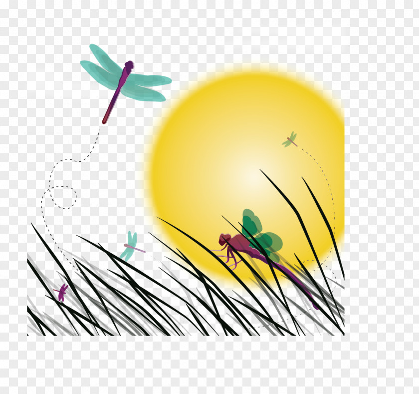 Vector Dragonfly Sunset Scene Insect Illustration PNG