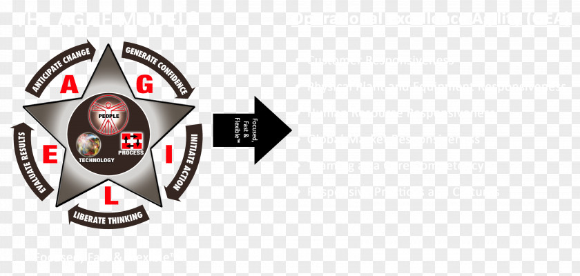 Agility Agile Software Development Leadership Agility: Five Levels Of Mastery For Anticipating And Initiating Change Organization PNG