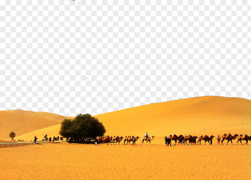 Desert Sahara Erg Singing Sand PNG