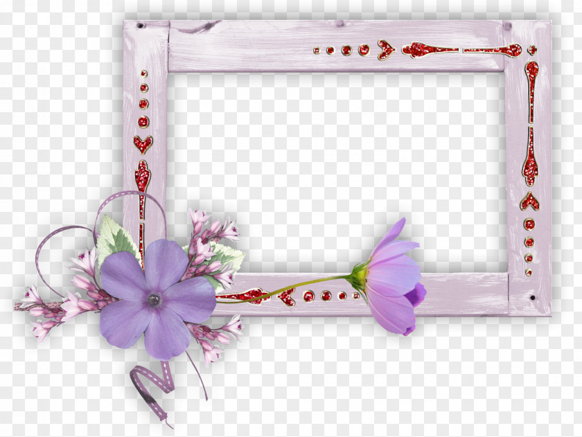Floral Frame Picture Frames Painting PNG