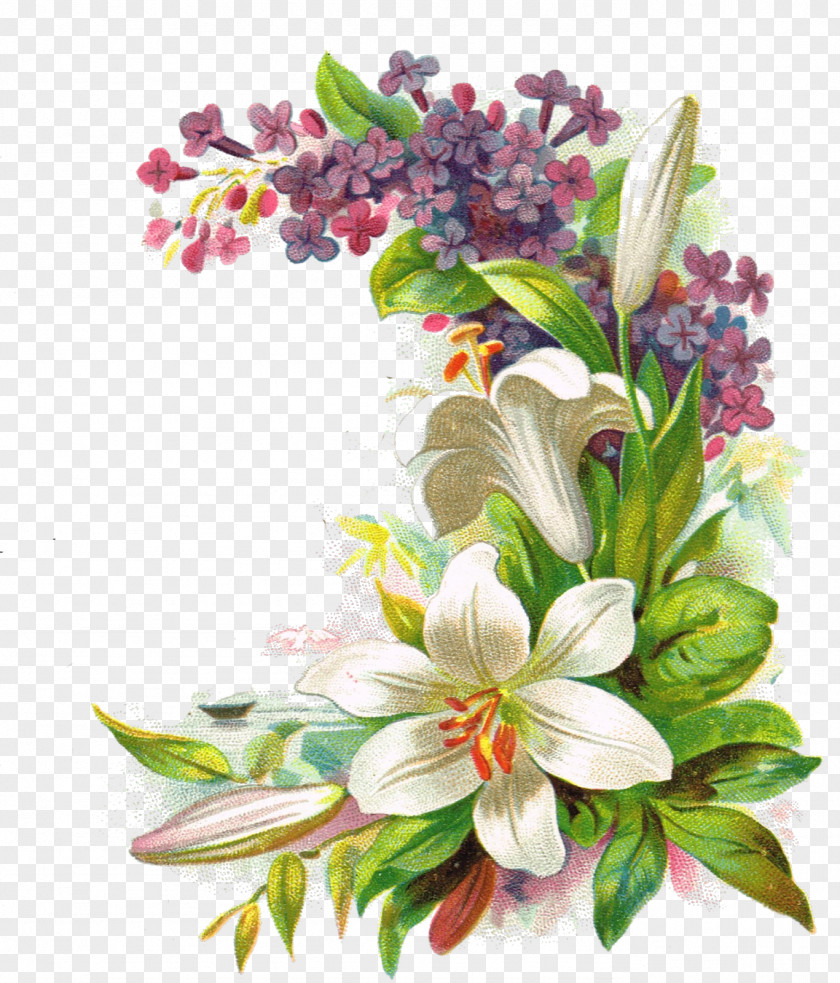 Greeting Paper Cut Flowers Floral Design Vintage Clothing PNG