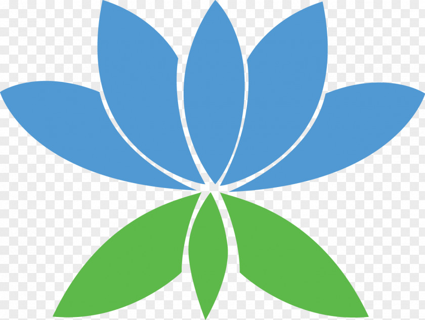 Indian Motifs Symbol Petal Symmetry Pattern PNG
