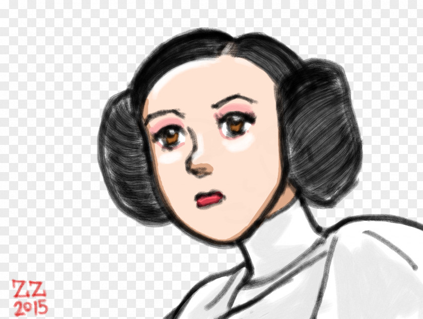 Leia Organa Eyebrow Hair Coloring Hairstyle Black PNG