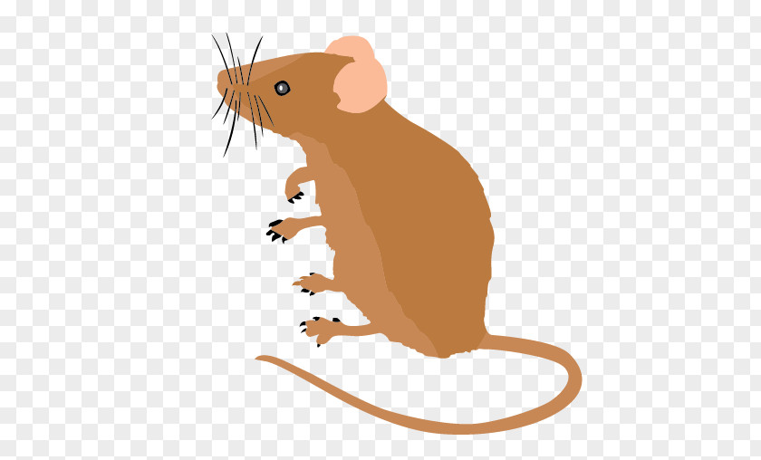 Mouse Computer Mickey Clip Art PNG