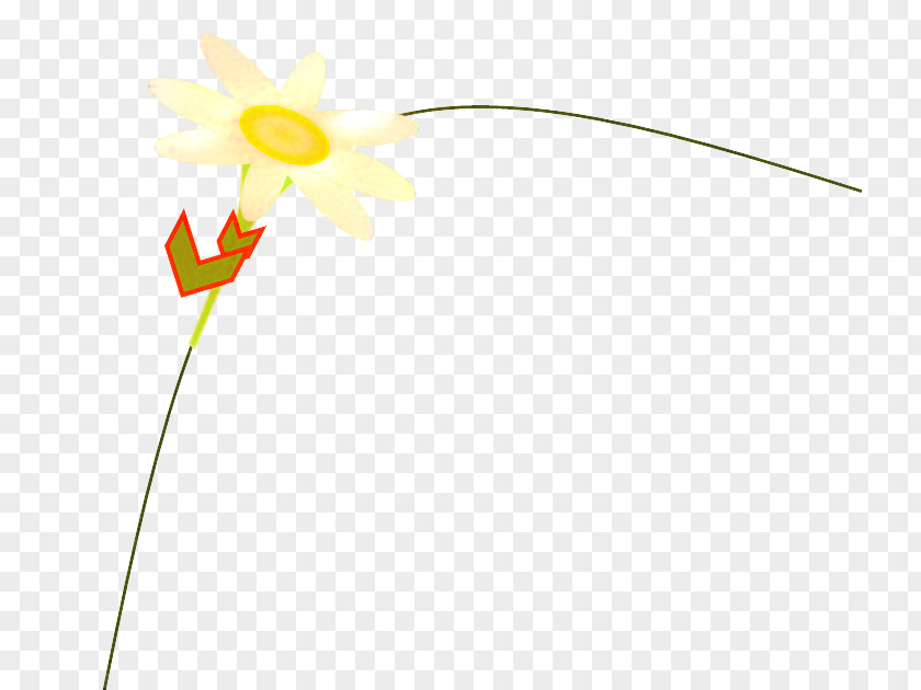 Petal Yellow Graphics Line Flowering Plant PNG