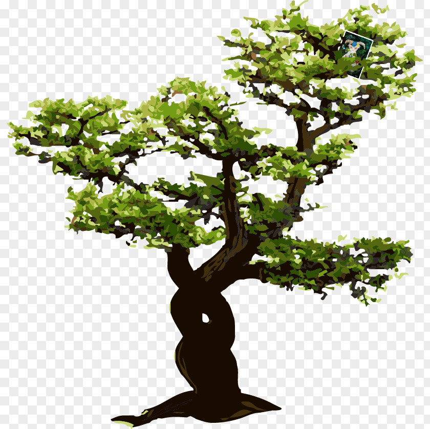 Tree Euclidean Vector PNG