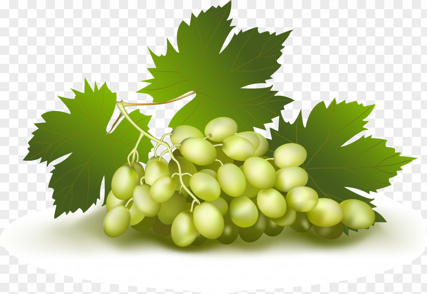 Abstract Pattern Realistic Grapes Wine Grape Fruit PNG