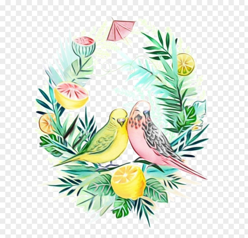 Bird Nest Finch Watercolor Plant PNG