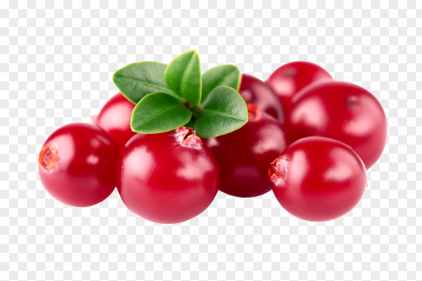 Cranberry Barbados Cherry Zante Currant Lingonberry Huckleberry PNG