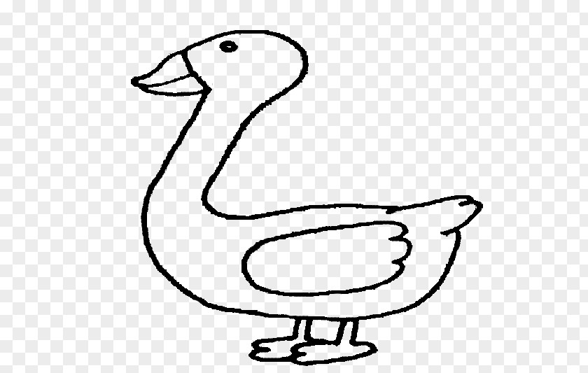 Duck Bird Goose Cygnini Anatidae PNG