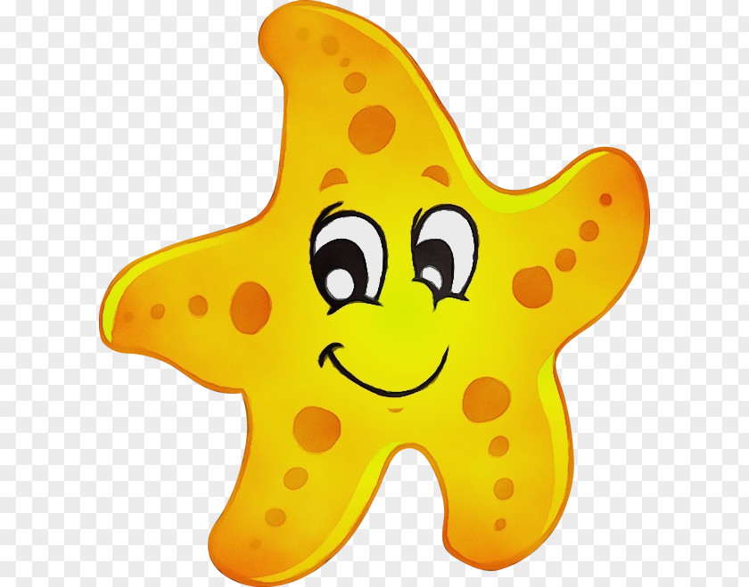 Echinoderm Star Drawing PNG