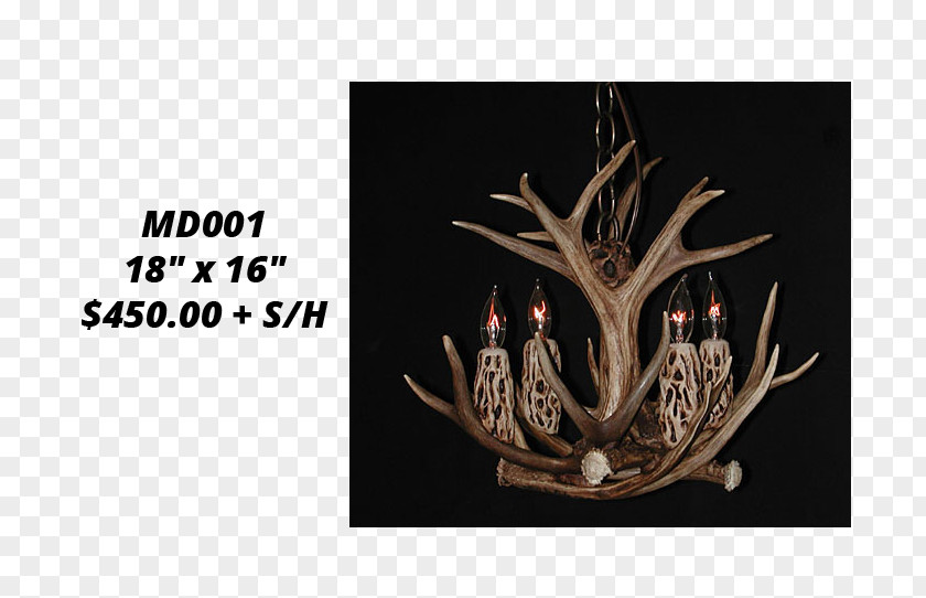 Antler White-tailed Deer Elk Light PNG