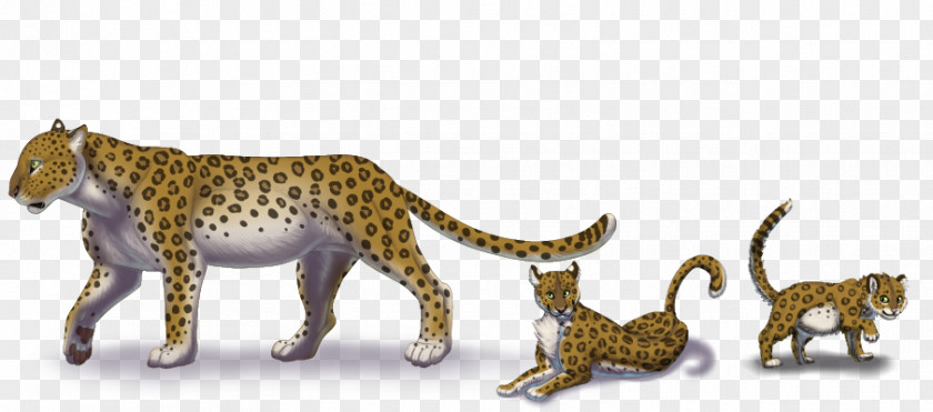 Leopard Cub Cheetah Felidae African Big Cat Art PNG