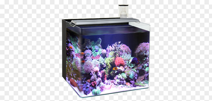 Nano Aquarium Reef Light Liter PNG