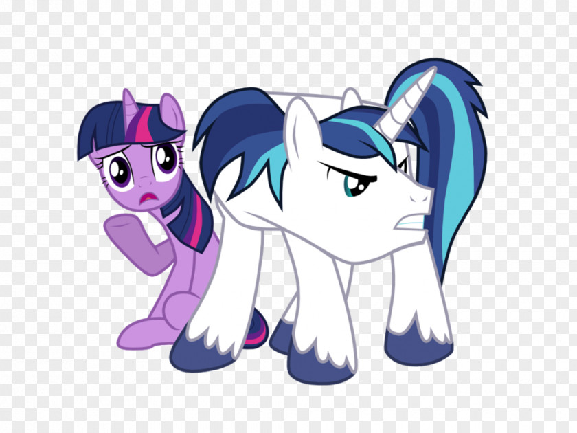 Shining Spark Daughters Pony Twilight Sparkle Armor Princess Cadance Rainbow Dash PNG
