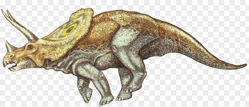 Torosaurus Tyrannosaurus Triceratops Styracosaurus Allosaurus PNG