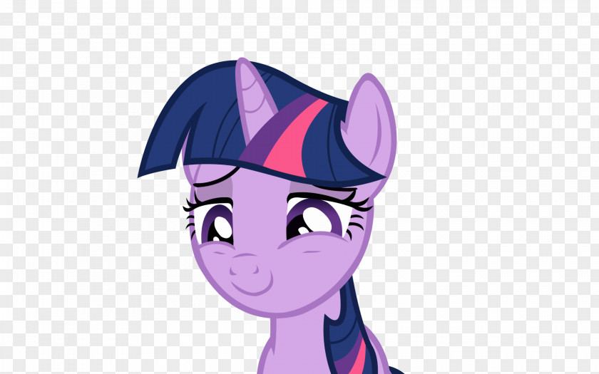 Unicorn Horn Twilight Sparkle Rainbow Dash Pony Pinkie Pie Applejack PNG