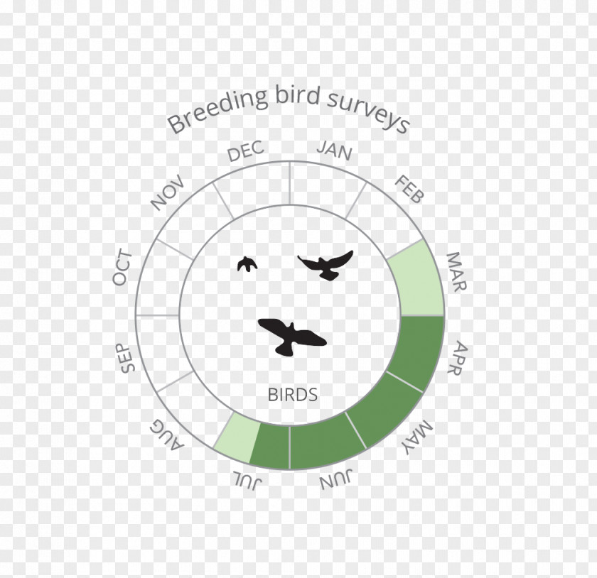 Bird Logo Breeding Survey Contract Ecology PNG