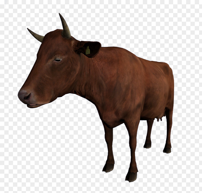 Dairy Cattle DayZ Calf Ox PNG