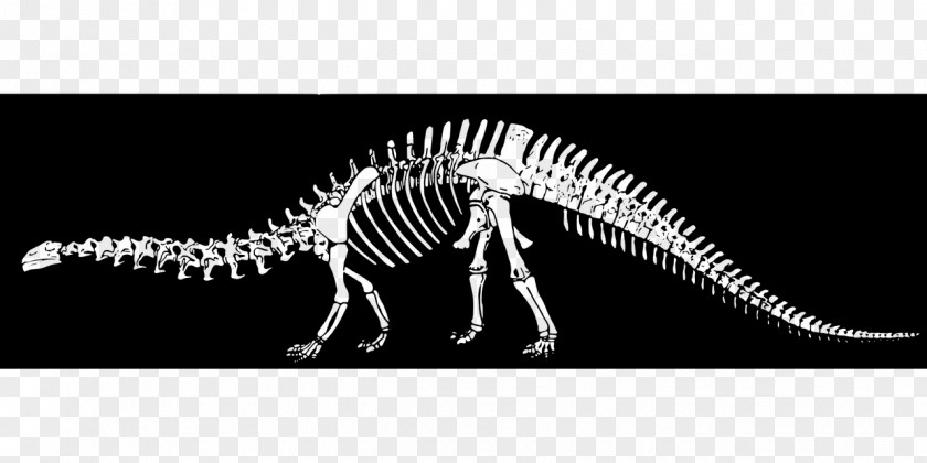 Dinosaur Velociraptor ARK: Survival Evolved Brontosaurus The Lost World Tyrannosaurus PNG