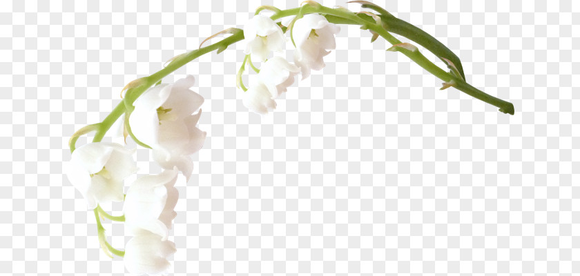 Flower Clip Art PNG