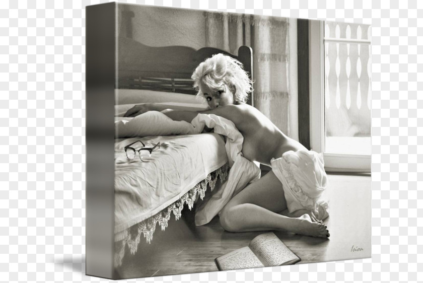 Marilyn Monroe Drawings Furniture Stock Photography White PNG