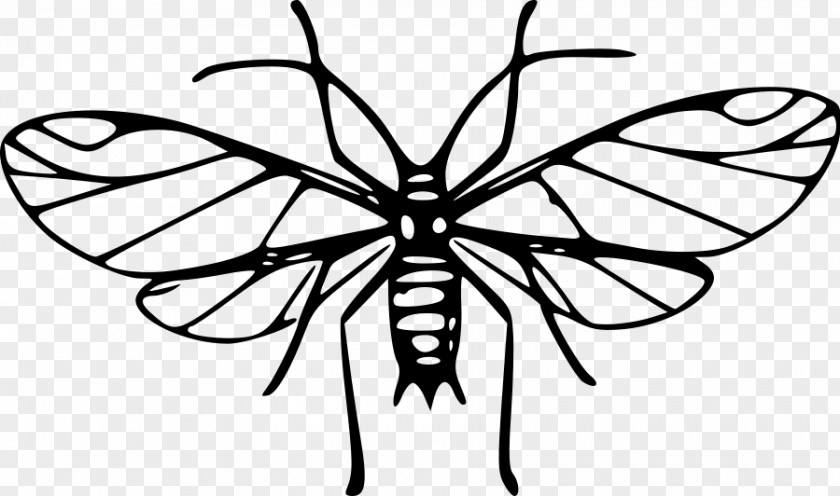 Mosquito Cliparts Insect Louse Ant Clip Art PNG