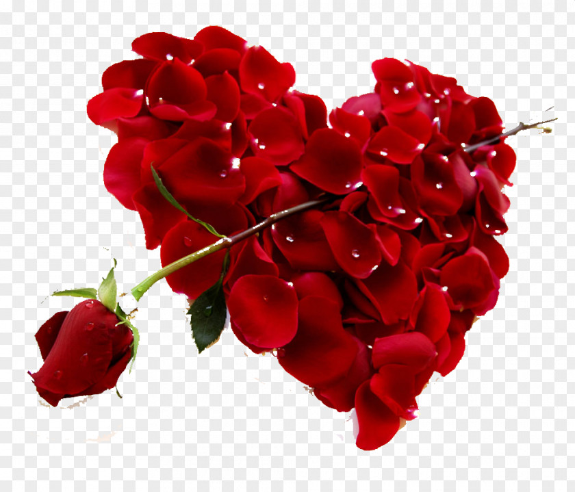 Rose Petals And Red Roses HD Photo Heart Valentines Day Petal PNG