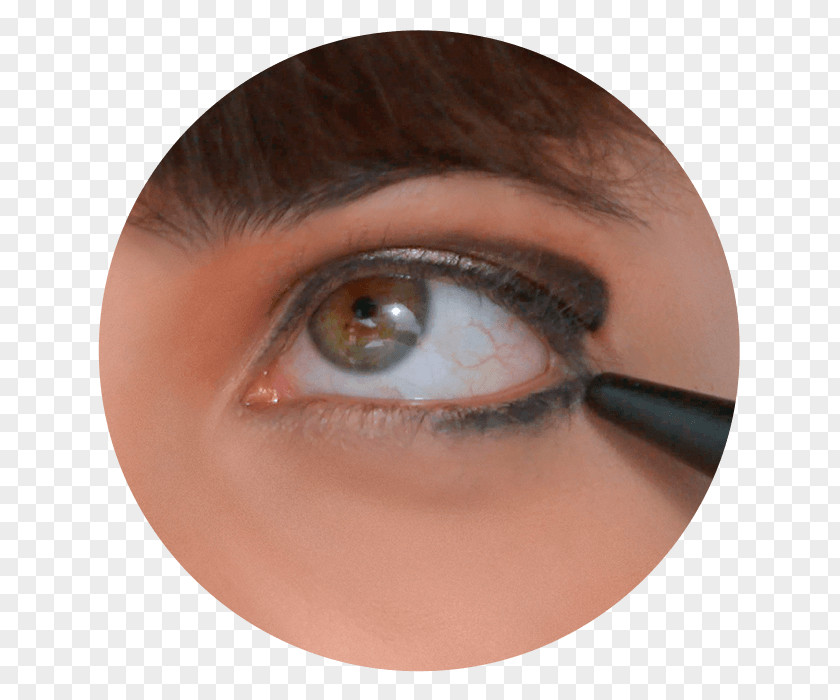 Fuk Upper And Lower Ends Shading Eyelash Extensions Eye Shadow Liner PNG