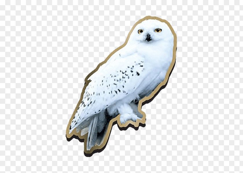 Harry Potter Owl Garrï And The Deathly Hallows Fictional Universe Of Hedwig (Literary Series) PNG