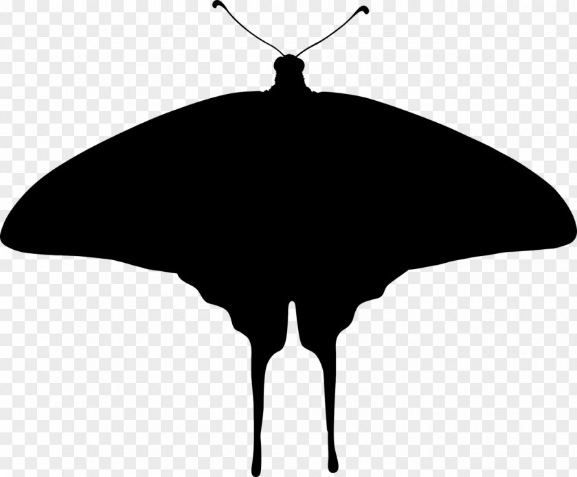 Mothman Butterfly Silhouette Clip Art PNG