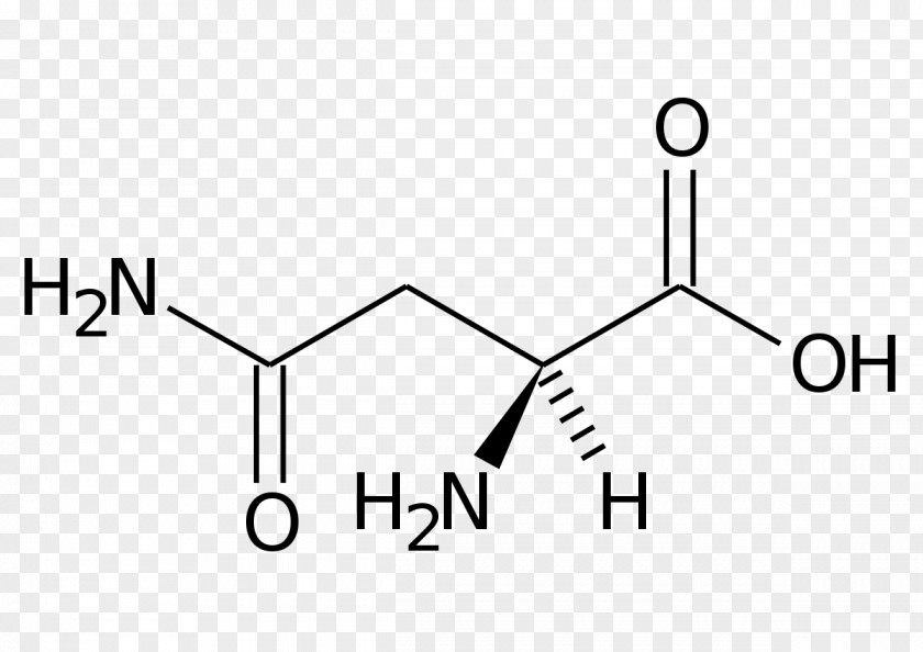Asparagus Chemical Formula Asparagine Amino Acid Structural PNG