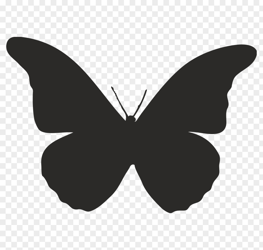 Butterfly Monarch Insect Clip Art Shape PNG