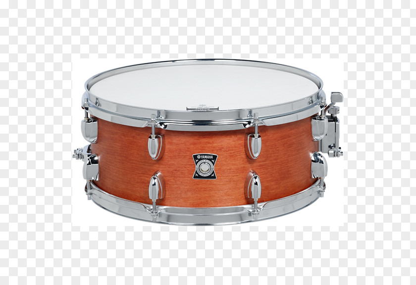 Drum Snare Drums Timbales Drumhead Tom-Toms PNG