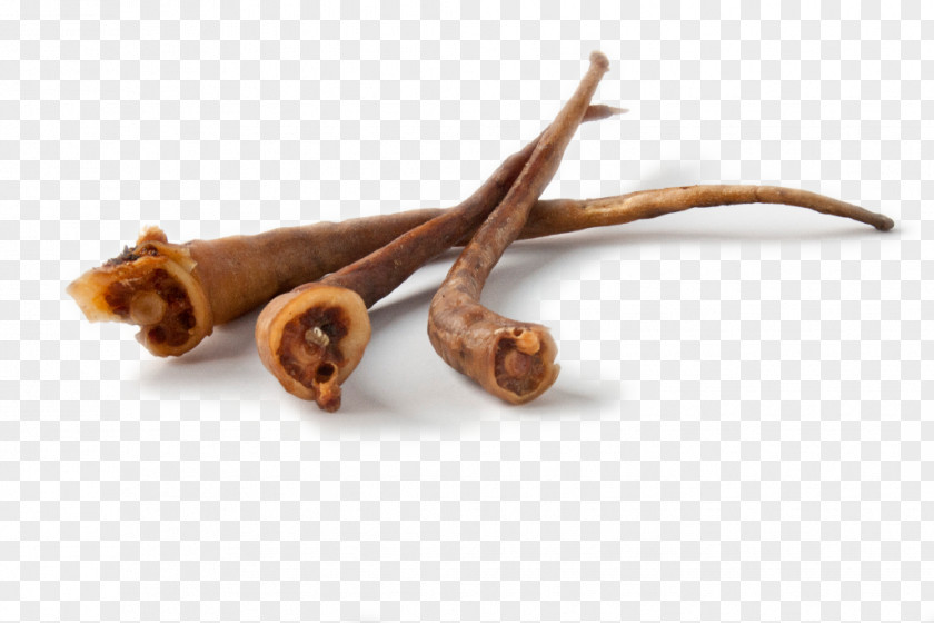 Ears Of Wheat Ingredient PNG