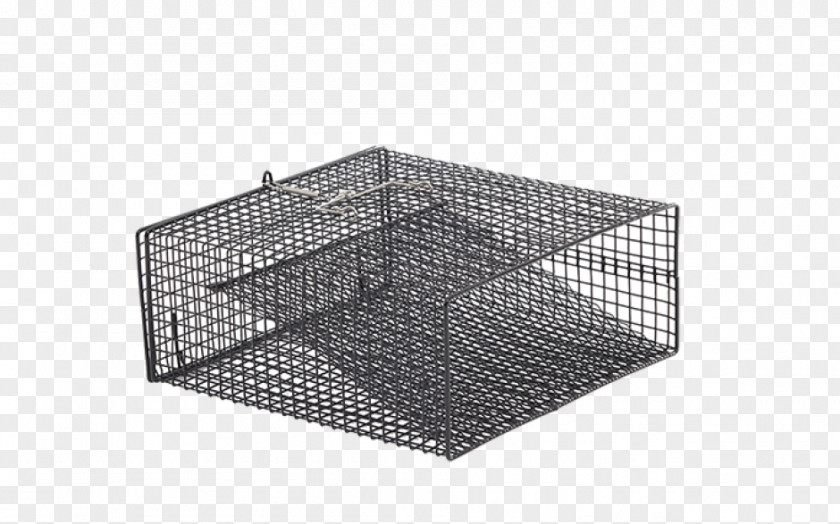 Fish Trap Square Rectangle Crayfish PNG