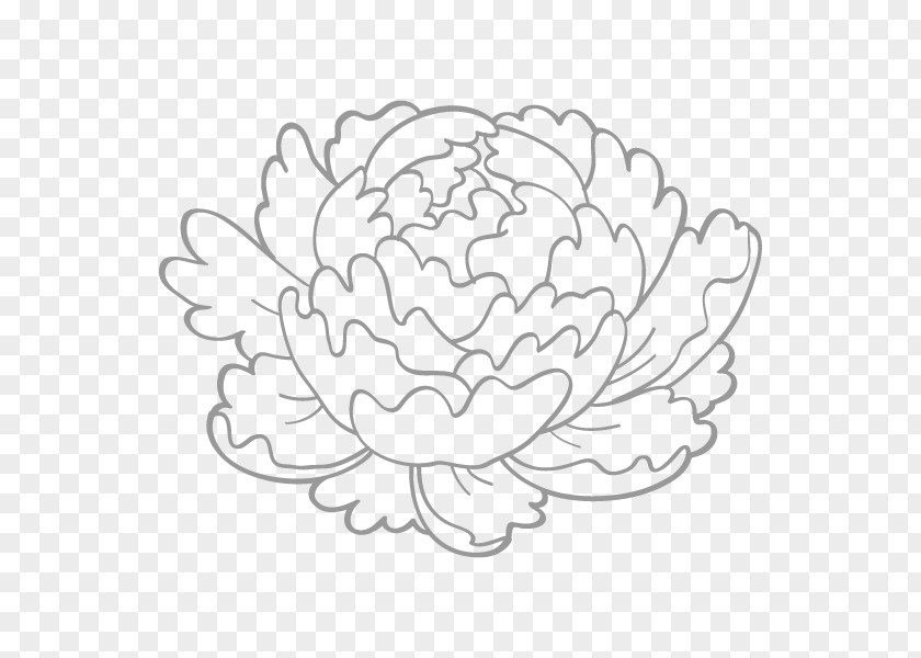 Illustration Floral Design Royalty-free Drawing Image PNG