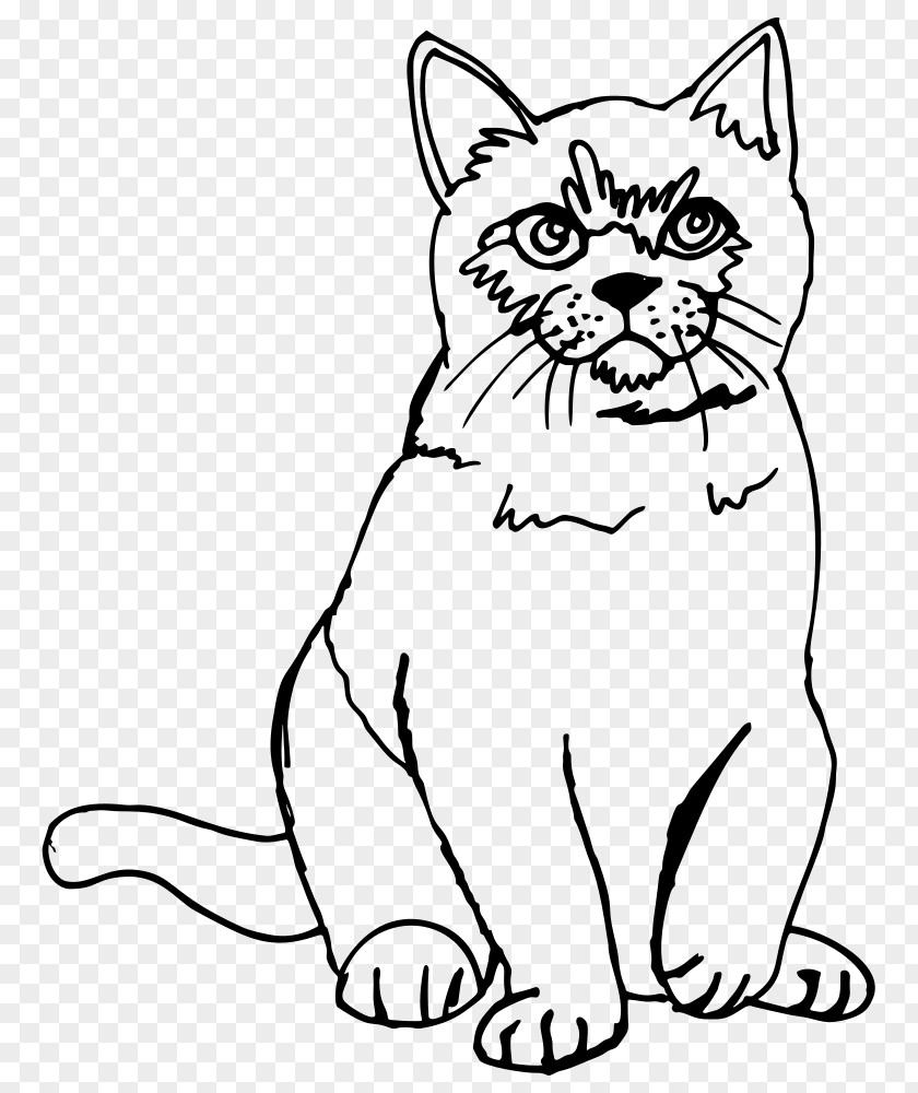 Kitten Sphynx Cat Siamese Line Art Drawing PNG