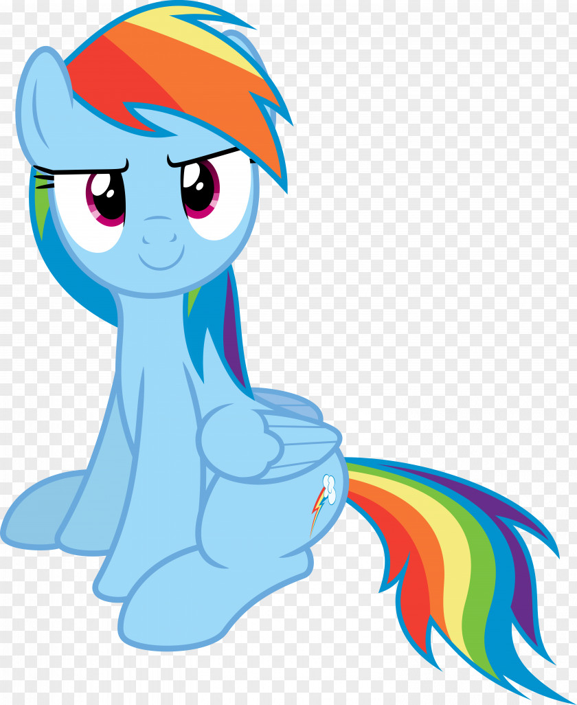 Rainbow Pony Dash Twilight Sparkle PNG
