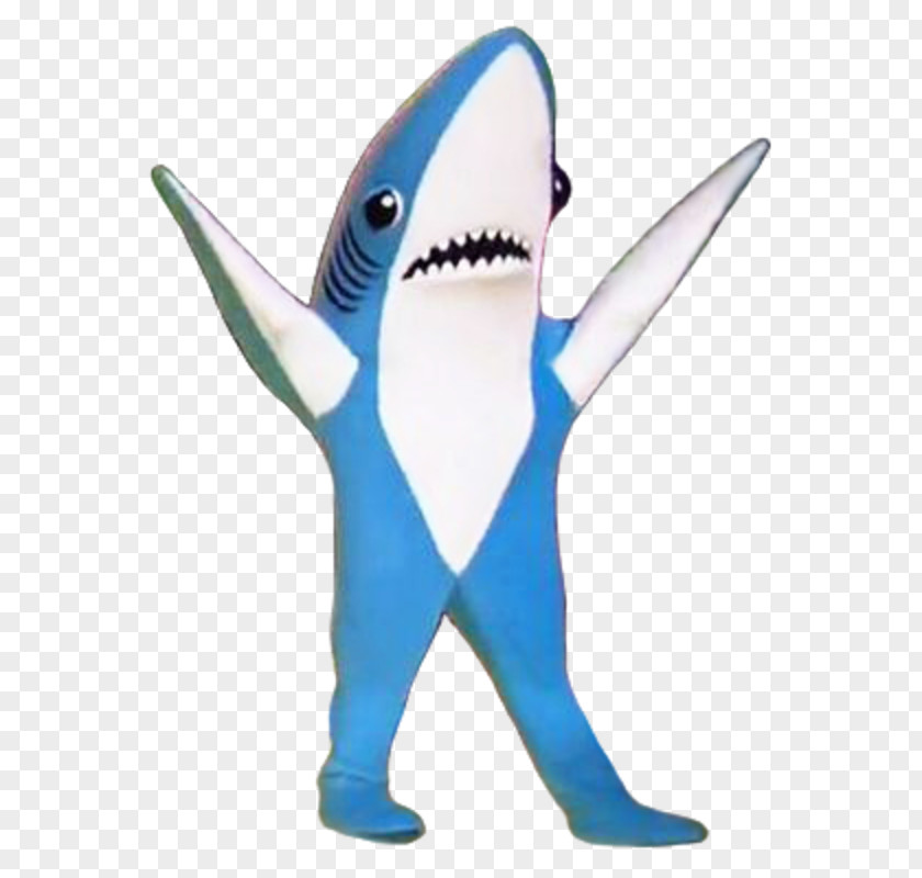 Sharks T-shirt Shark Super Bowl XLIX Halftime Show Costume PNG