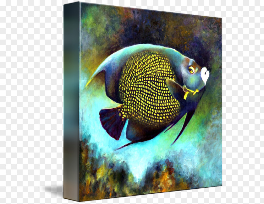Angelfish French Emperor Coral Reef Fish PNG