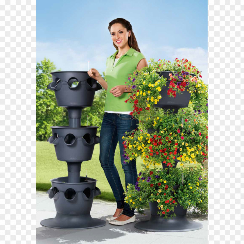 House Garden Flowerpot Crock Cachepot Color PNG