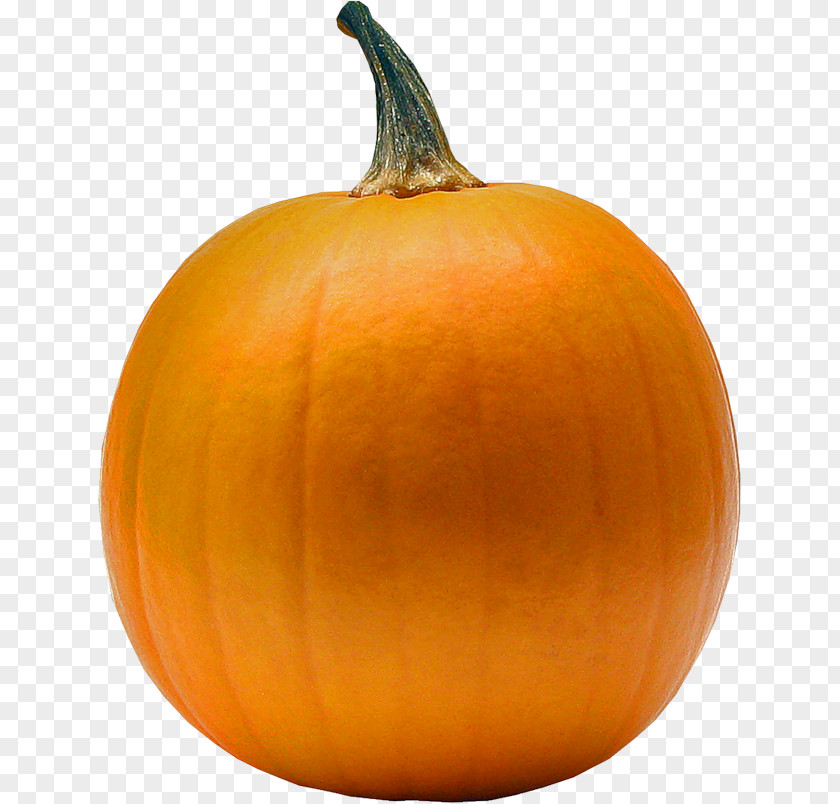 Pumpkin Jack-o'-lantern Pie Portable Network Graphics Gourd PNG