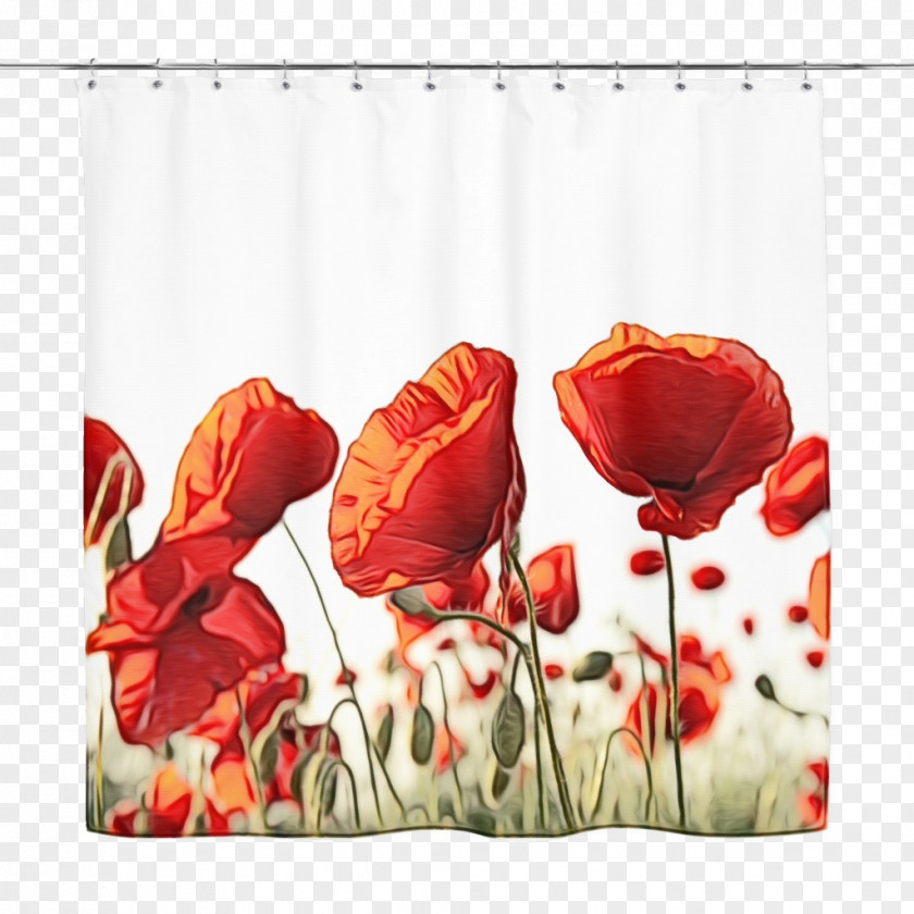 Window Treatment Flowering Plant Lily Flower Cartoon PNG