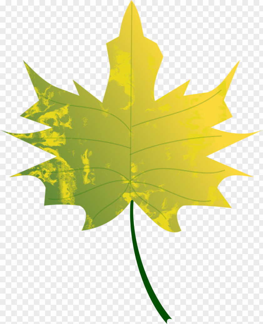 Antumn Leaves Gradient Color Autumn Leaf Clip Art PNG